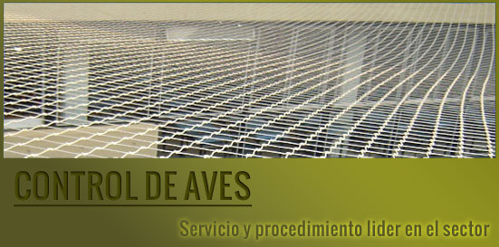 Control de aves