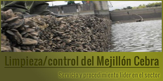 CEBRA REPRODUCCION cebra reproduccion: